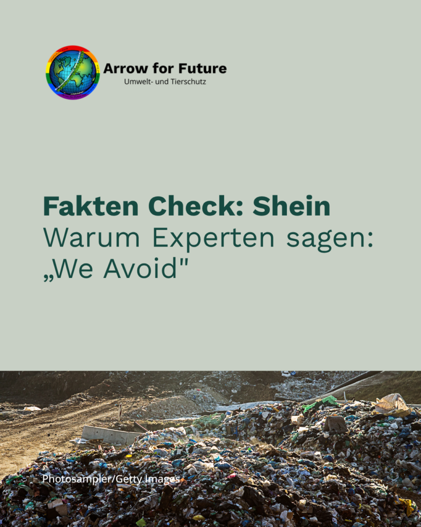Mehr Shein als Sein? Ein Faktencheck zu SHEIN.