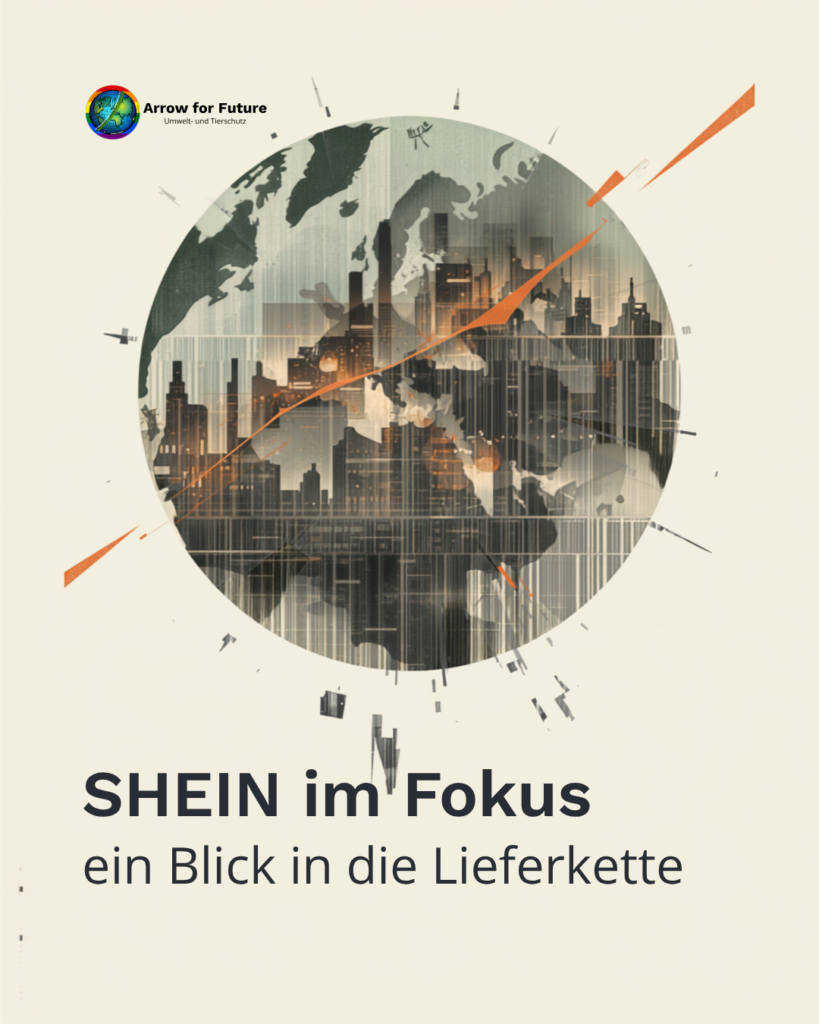 Shein im Fokus: ein Blick in die Lieferkette
