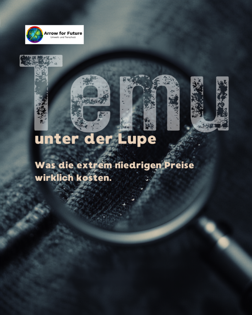 Temu unter der Lupe: Was die extrem niedrigen Preise wirklich kosten.