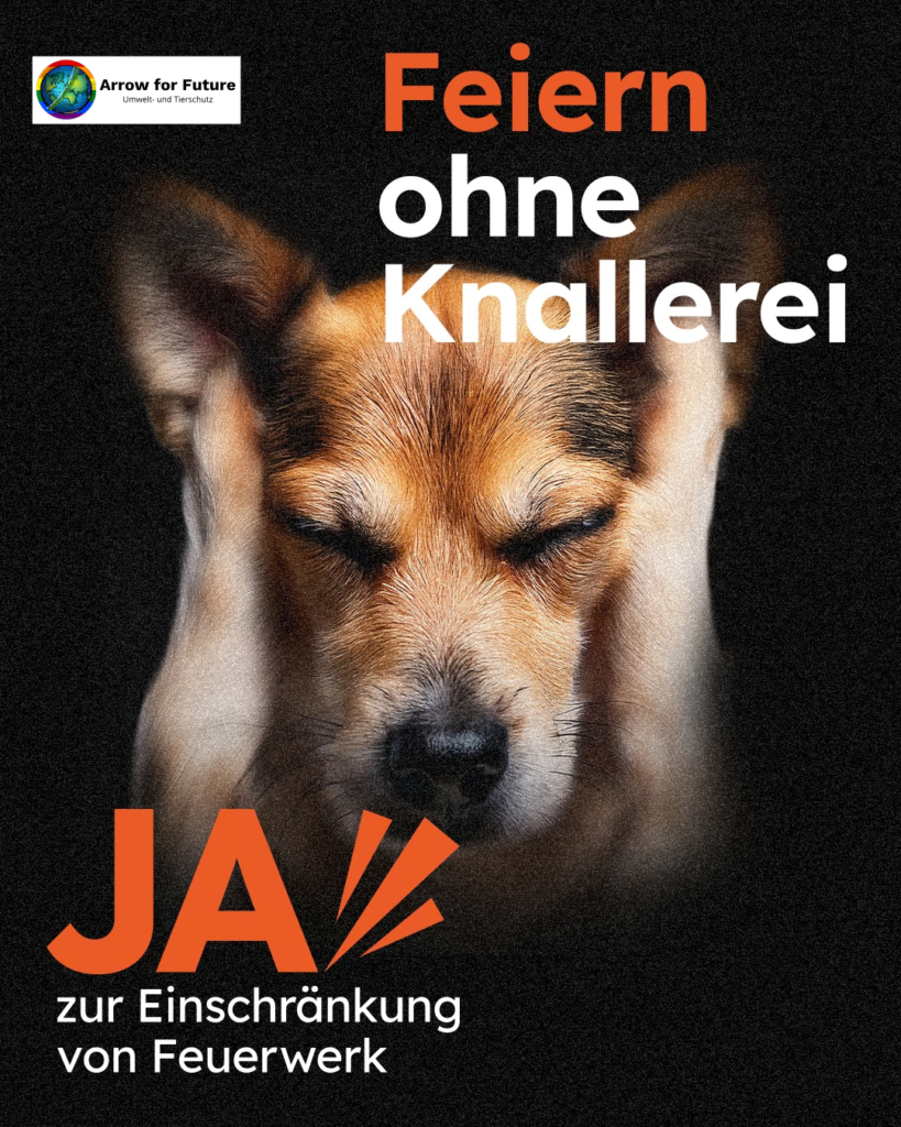 Initiative: Für eine Einschränkung von Feuerwerk